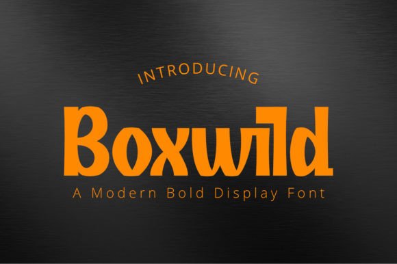 Boxwild: A Steady, Stunning Display Font for Digital Brands