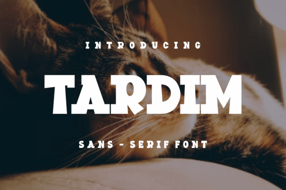 Tardim: A Bold Display Font for Scroll-Stopping Marketing