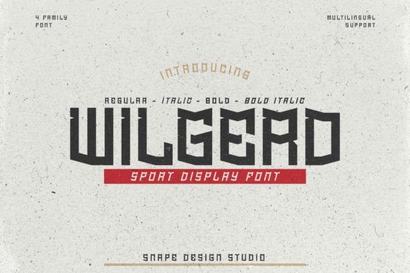 Wilgerd: The Display Font That Makes Sports Campaigns Pop